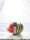 Elfbar ELFA Pods Watermelon -20mg Nikotin