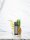 Elfbar ELFA Pods Pineapple Lemon Soda-20mg Nikotin