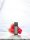 Elfbar ELFA Pods Raspberry Watermelon-20mg Nikotin